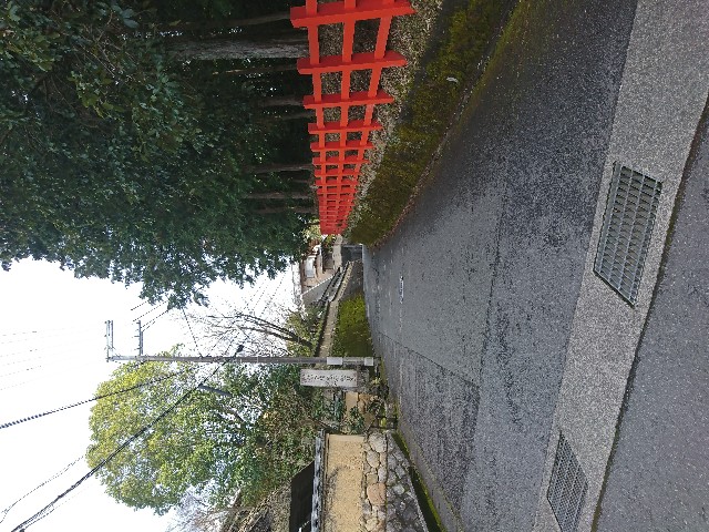 f:id:piyori_sampo:20200311235651j:image