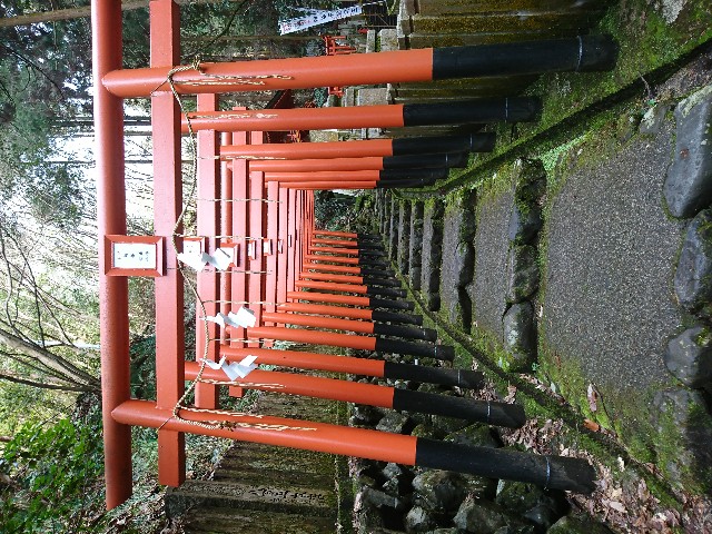 f:id:piyori_sampo:20200312000407j:image