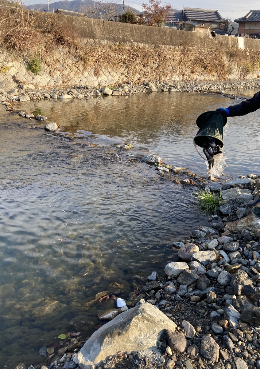 f:id:piyosukepi:20211231200533j:plain