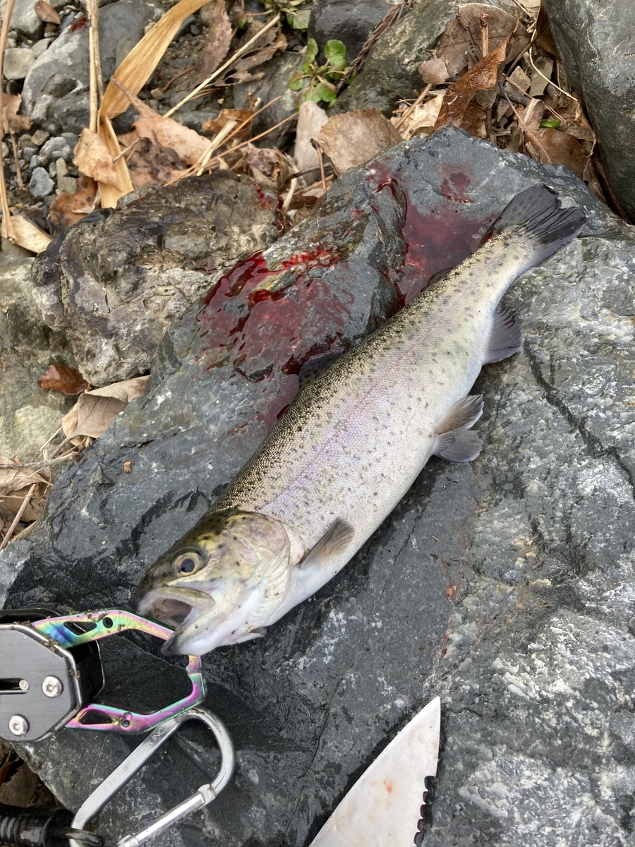 f:id:piyosukepi:20211231202052j:plain