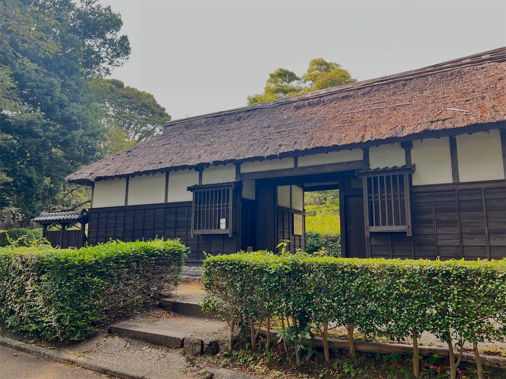 f:id:piyotorin:20250902031036j:image