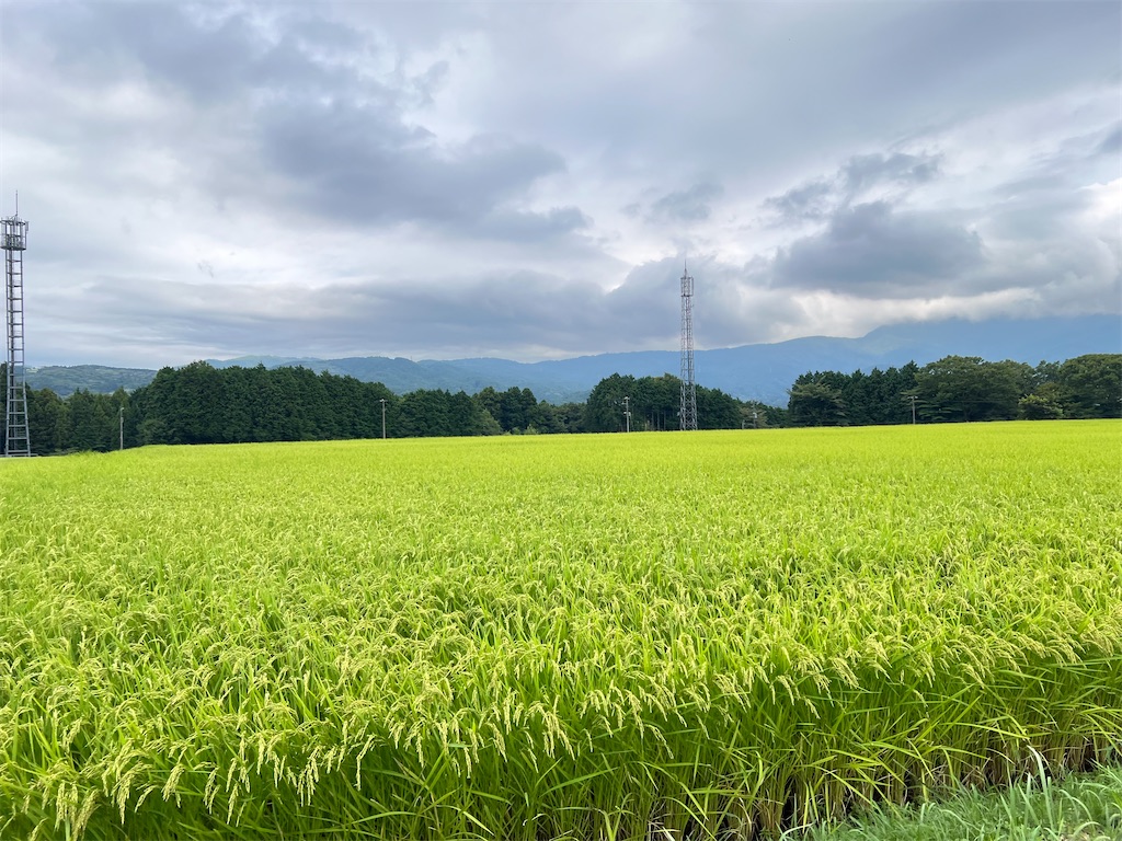 f:id:piyotorin:20251005192324j:image