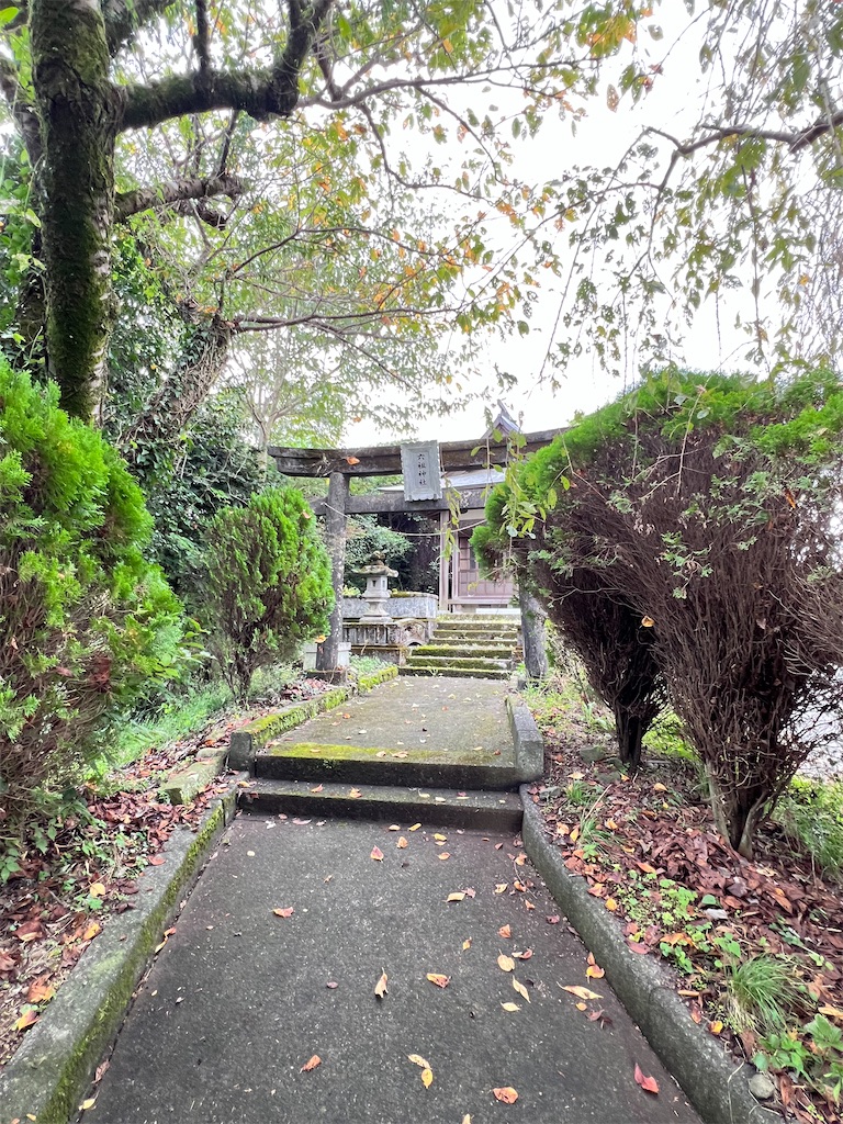 f:id:piyotorin:20251010013353j:image