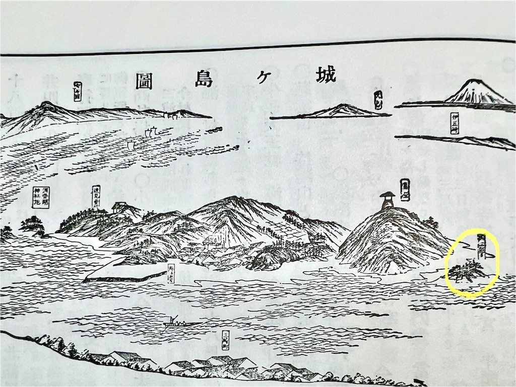 f:id:piyotorin:20251121224746j:image