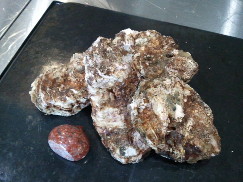 f:id:pizzeria-castagna:20120603162345j:image