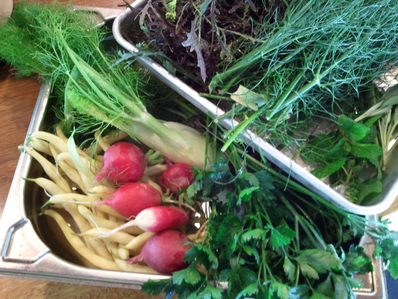 f:id:pizzeria-castagna:20120626104117j:image