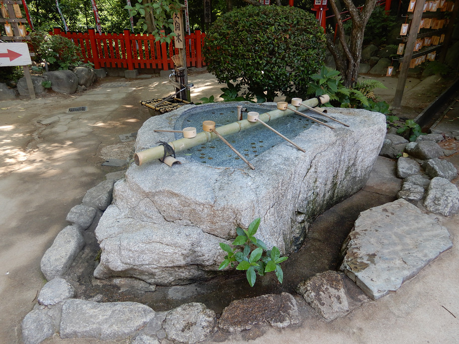 f:id:pjtadq:20190610233229j:plain