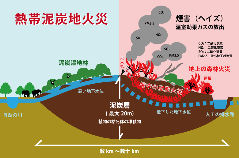 ゾンビ火災,原野火災,泥炭火災