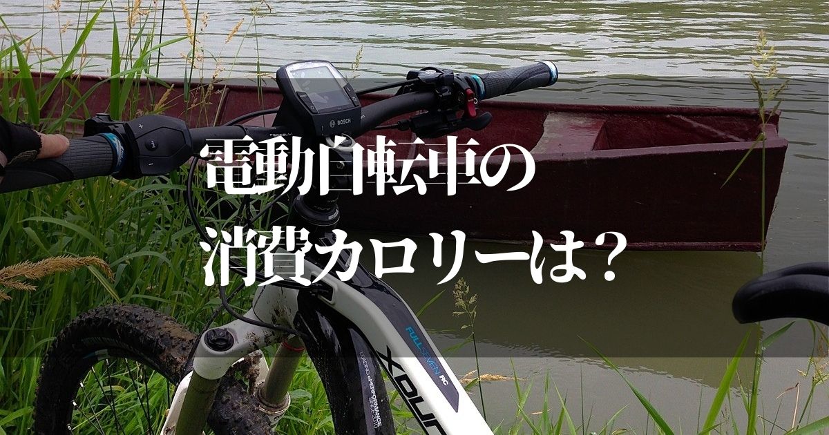 電動自転車の消費カロリーで痩せるの？！【時間と距離の目安を解説】