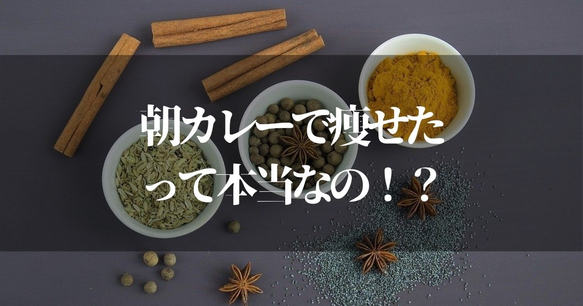 朝カレーダイエットで痩せた！？【ゲンキの時間でわかるスパイスカレーの効果】