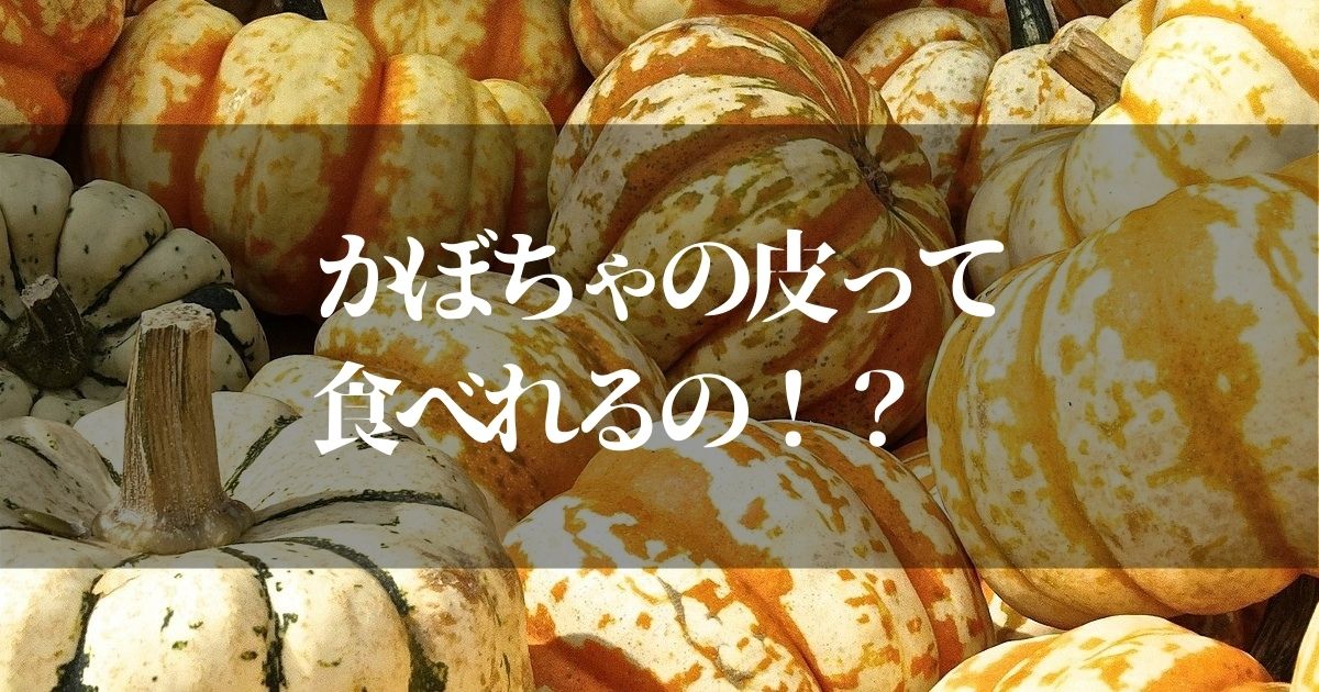 かぼちゃの皮って食べれるの？【意外に知らない食べなきゃ損する栄養素を紹介】