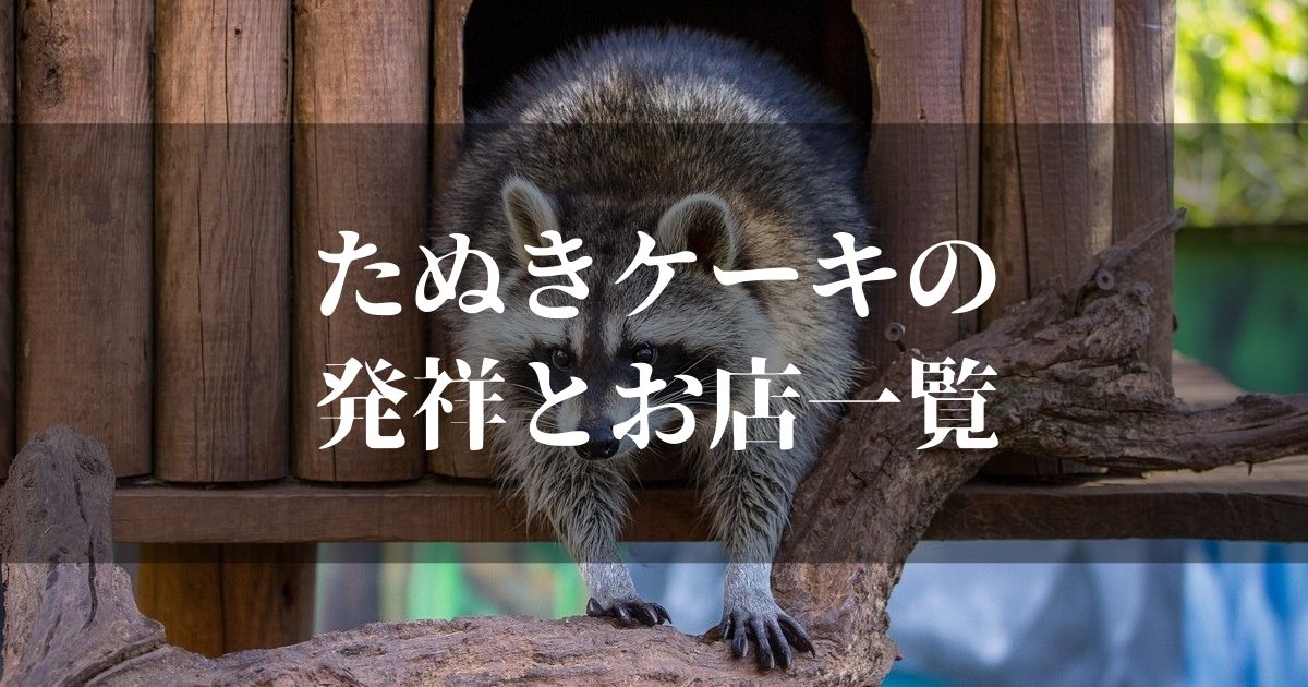 たぬきケーキ発祥の地とは！？10代がエモる全国おすすめ店を紹介