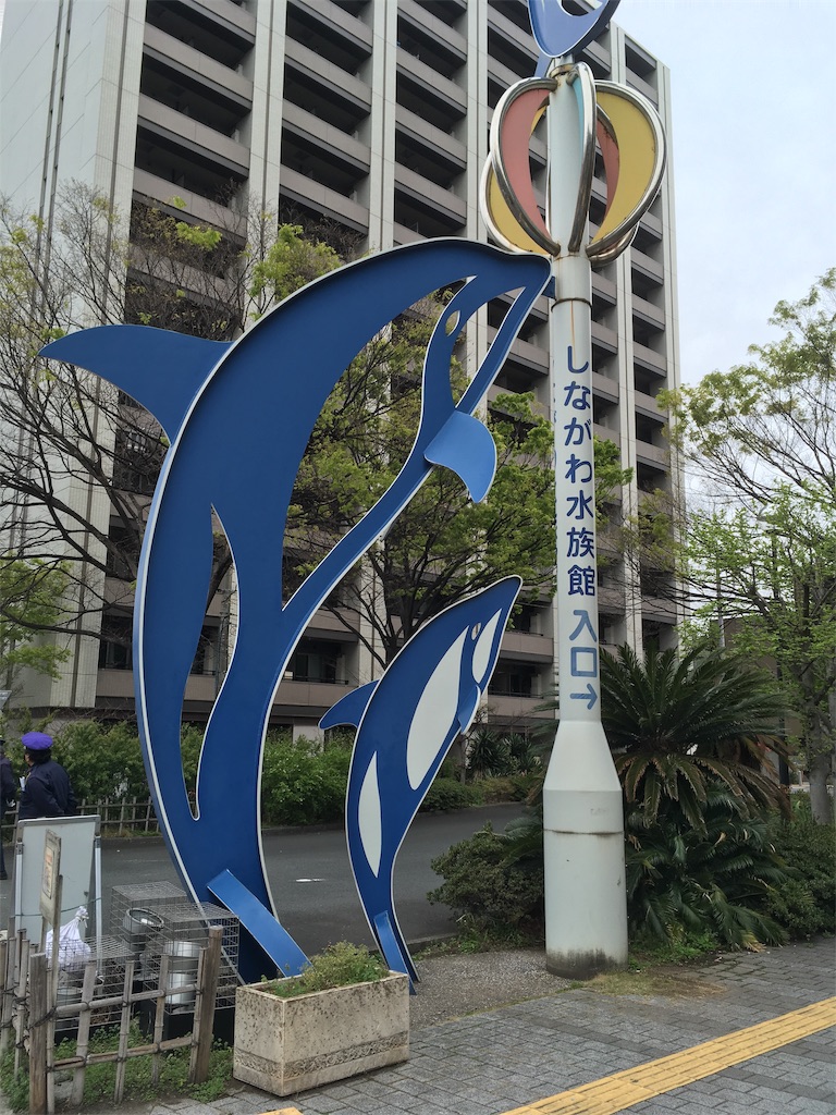 のんびりとイルカを眺めるなら しながわ水族館 専業主婦の勉強記録