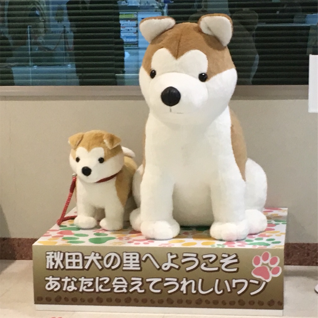 f:id:pkabocha:20191226073624j:image f:id:pkabocha:20191226073624j:image