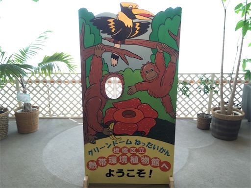 f:id:pkabocha:20200819000651j:image f:id:pkabocha:20200819000651j:image