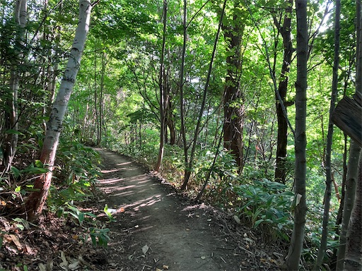 f:id:pkabocha:20230911114050j:image f:id:pkabocha:20230911114050j:image