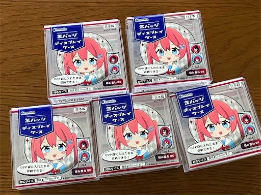 f:id:pkabocha:20241116220804j:image