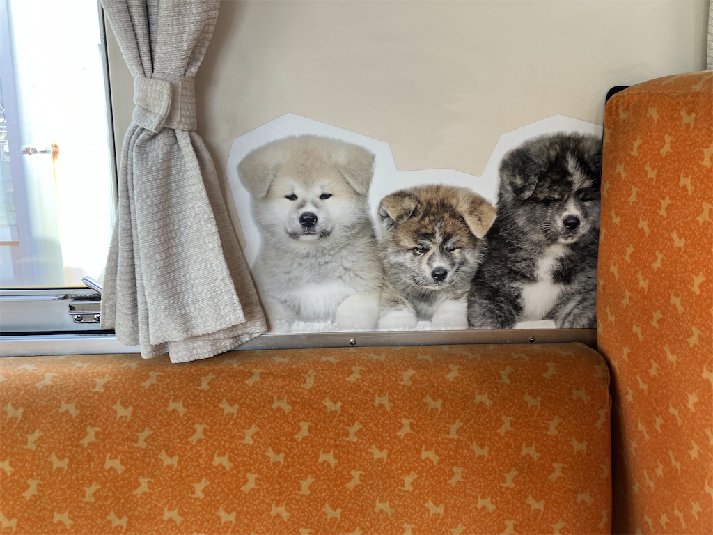 f:id:pkabocha:20250508151351j:image