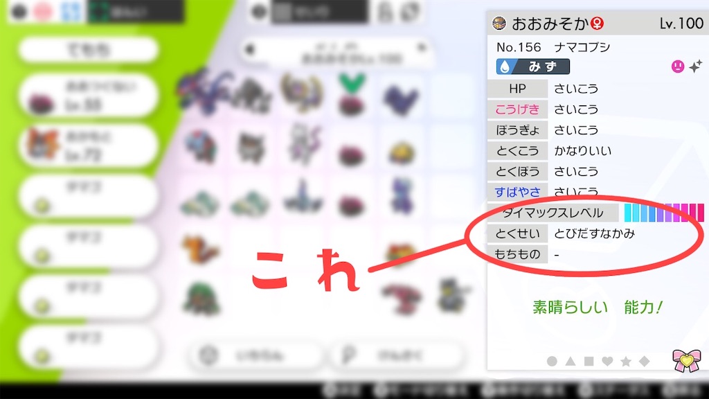 色違い紹介 雁月
