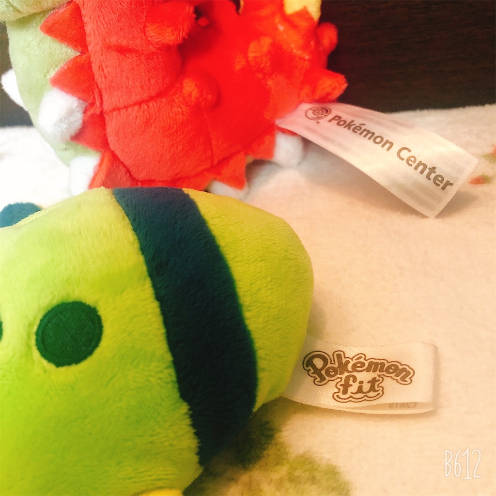 ポケモンfit ケムッソのぬいぐるみを紹介する - 雁月