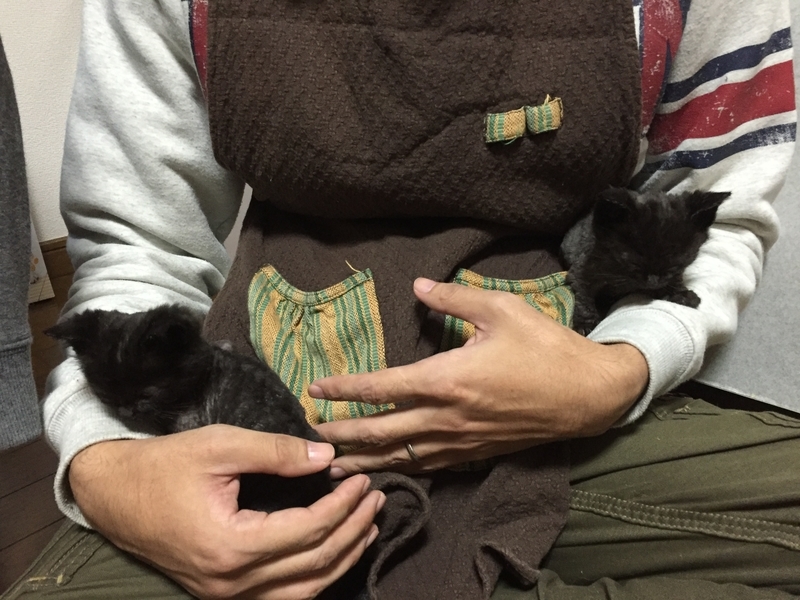 f:id:pkfakemi:20201026150914j:plain