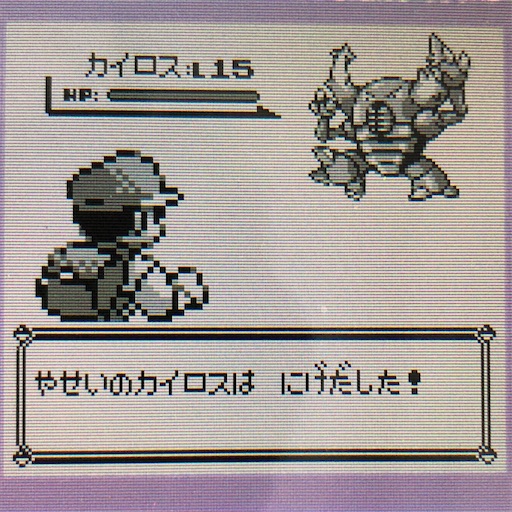 f:id:pkmn-reboot:20200908205421j:image