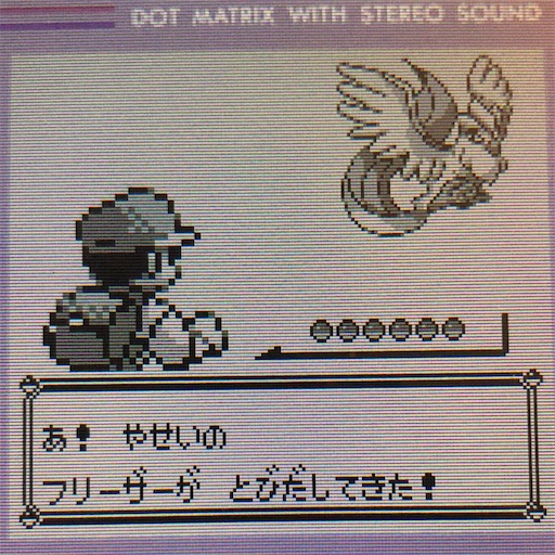 f:id:pkmn-reboot:20200916145954j:image