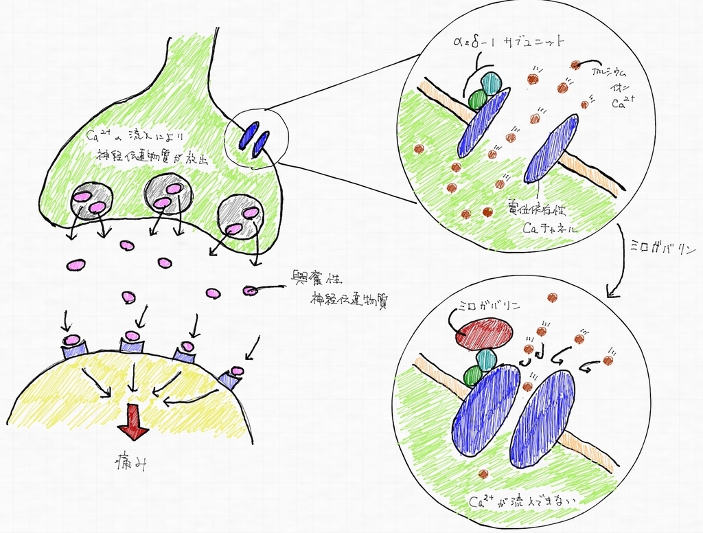 f:id:pkoudai:20190127104054j:plain