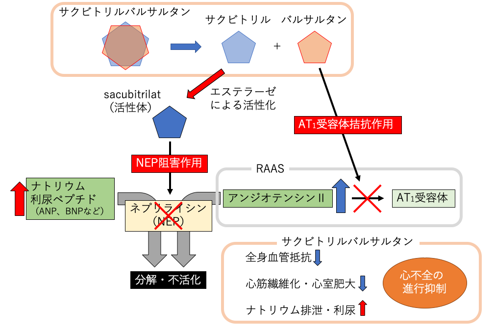 f:id:pkoudai:20200726175249p:plain