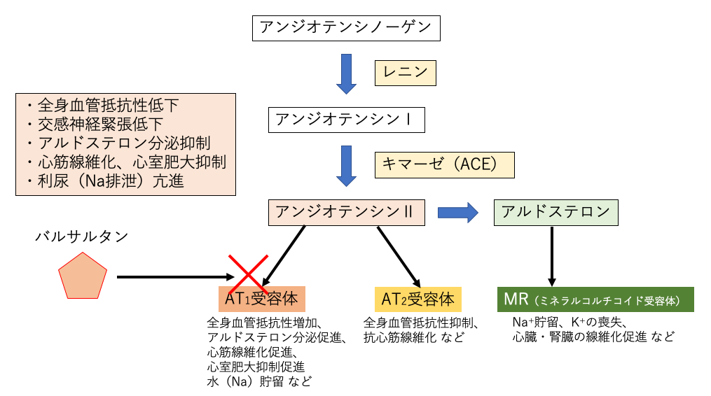 f:id:pkoudai:20200726175322p:plain