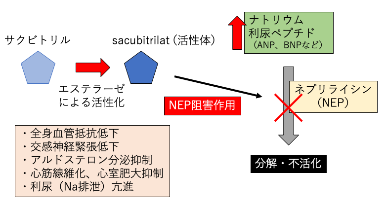 f:id:pkoudai:20200726175336p:plain f:id:pkoudai:20200726175336p:plain