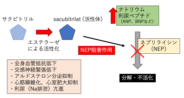 f:id:pkoudai:20200726175336p:plain