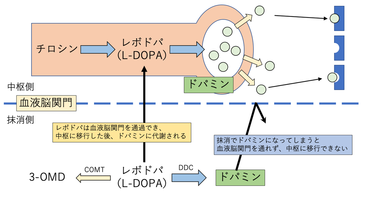 f:id:pkoudai:20201103193744p:plain