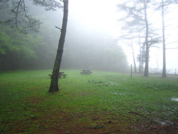 f:id:placeness:20120503093739j:image f:id:placeness:20120503093739j:image