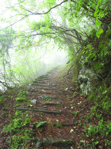 f:id:placeness:20120503094451j:image f:id:placeness:20120503094451j:image