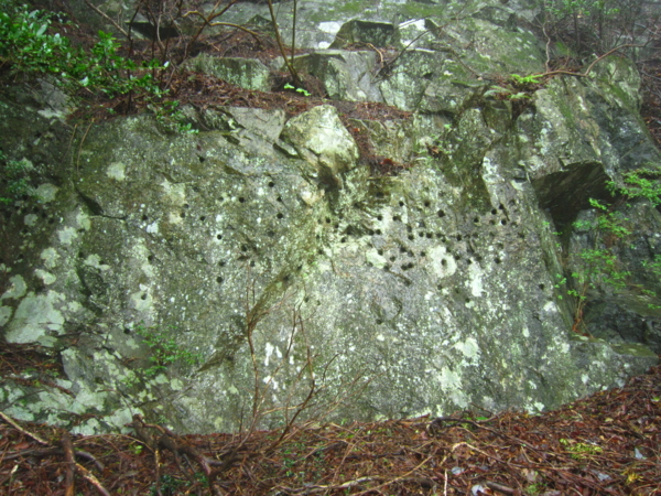 f:id:placeness:20120503100534j:image f:id:placeness:20120503100534j:image