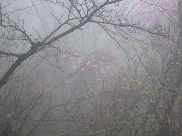 f:id:placeness:20120503114031j:image f:id:placeness:20120503114031j:image