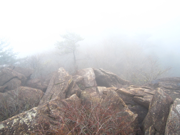 f:id:placeness:20120503123439j:image f:id:placeness:20120503123439j:image