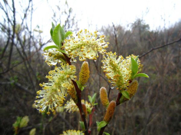 f:id:placeness:20120503134304j:image f:id:placeness:20120503134304j:image