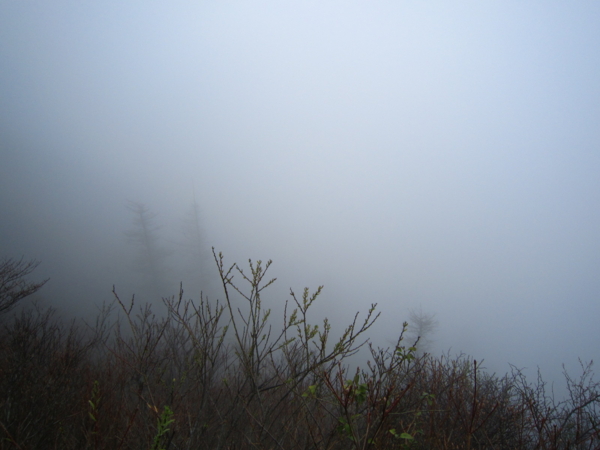 f:id:placeness:20120503134701j:image f:id:placeness:20120503134701j:image