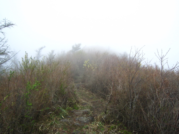 f:id:placeness:20120503142836j:image f:id:placeness:20120503142836j:image