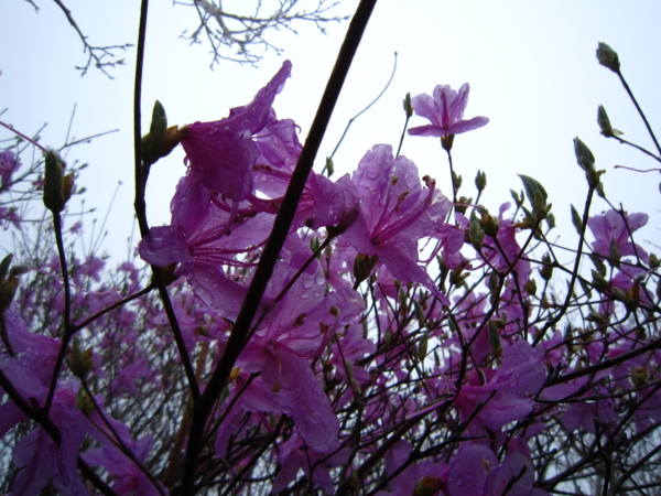 f:id:placeness:20120503143055j:image f:id:placeness:20120503143055j:image