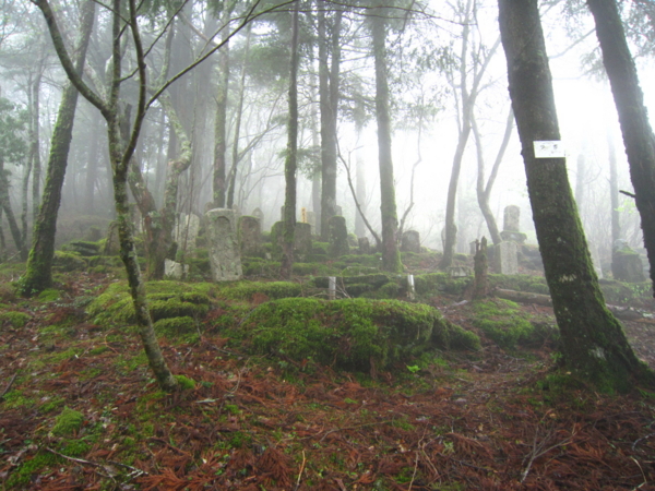 f:id:placeness:20120503151044j:image f:id:placeness:20120503151044j:image