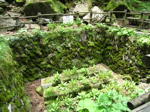 f:id:placeness:20120513120012j:image f:id:placeness:20120513120012j:image