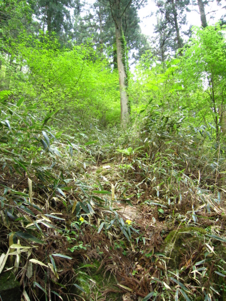 f:id:placeness:20120513120123j:image f:id:placeness:20120513120123j:image