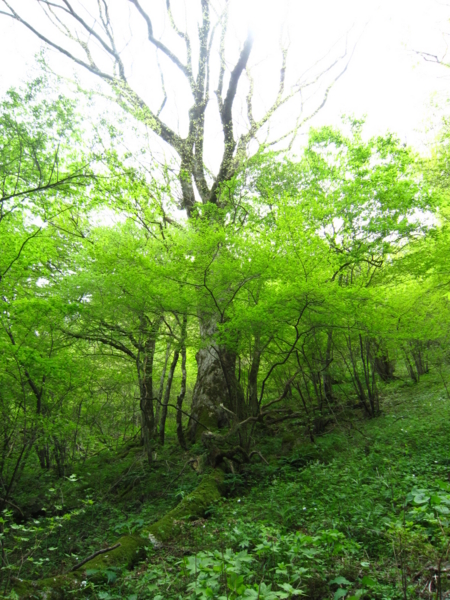 f:id:placeness:20120513120351j:image f:id:placeness:20120513120351j:image