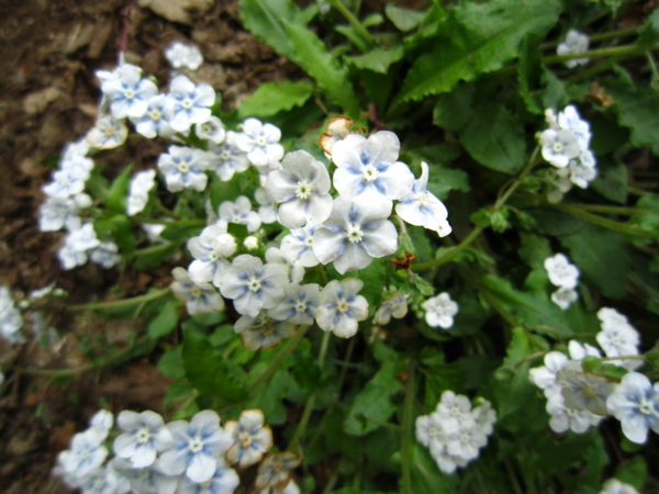 f:id:placeness:20120513121513j:image f:id:placeness:20120513121513j:image