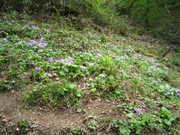 f:id:placeness:20120513122149j:image f:id:placeness:20120513122149j:image