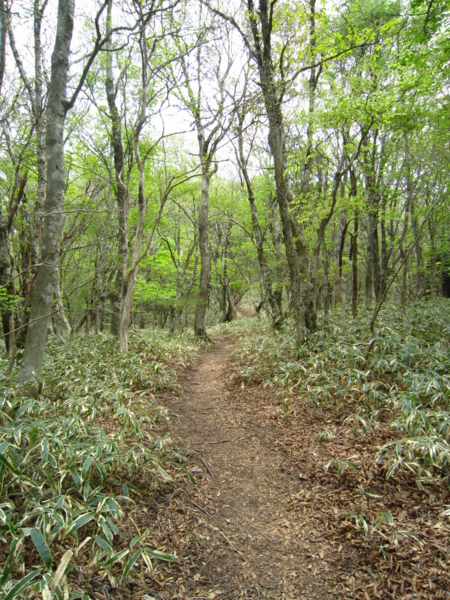 f:id:placeness:20120513122715j:image f:id:placeness:20120513122715j:image