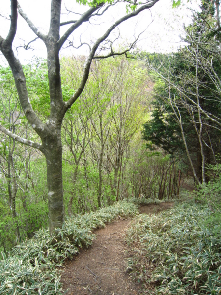 f:id:placeness:20120513123008j:image f:id:placeness:20120513123008j:image